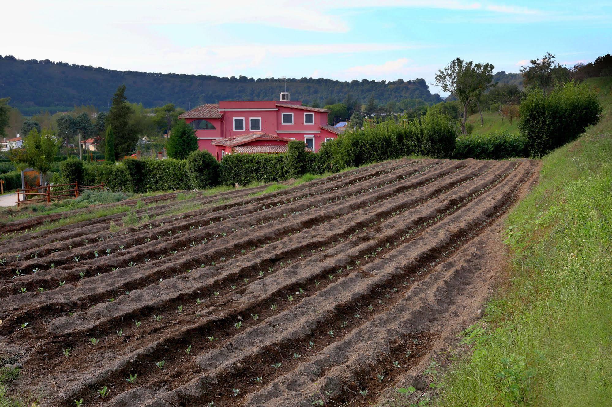 Agriturismo San Martino Villa Pozzuoli Buitenkant foto